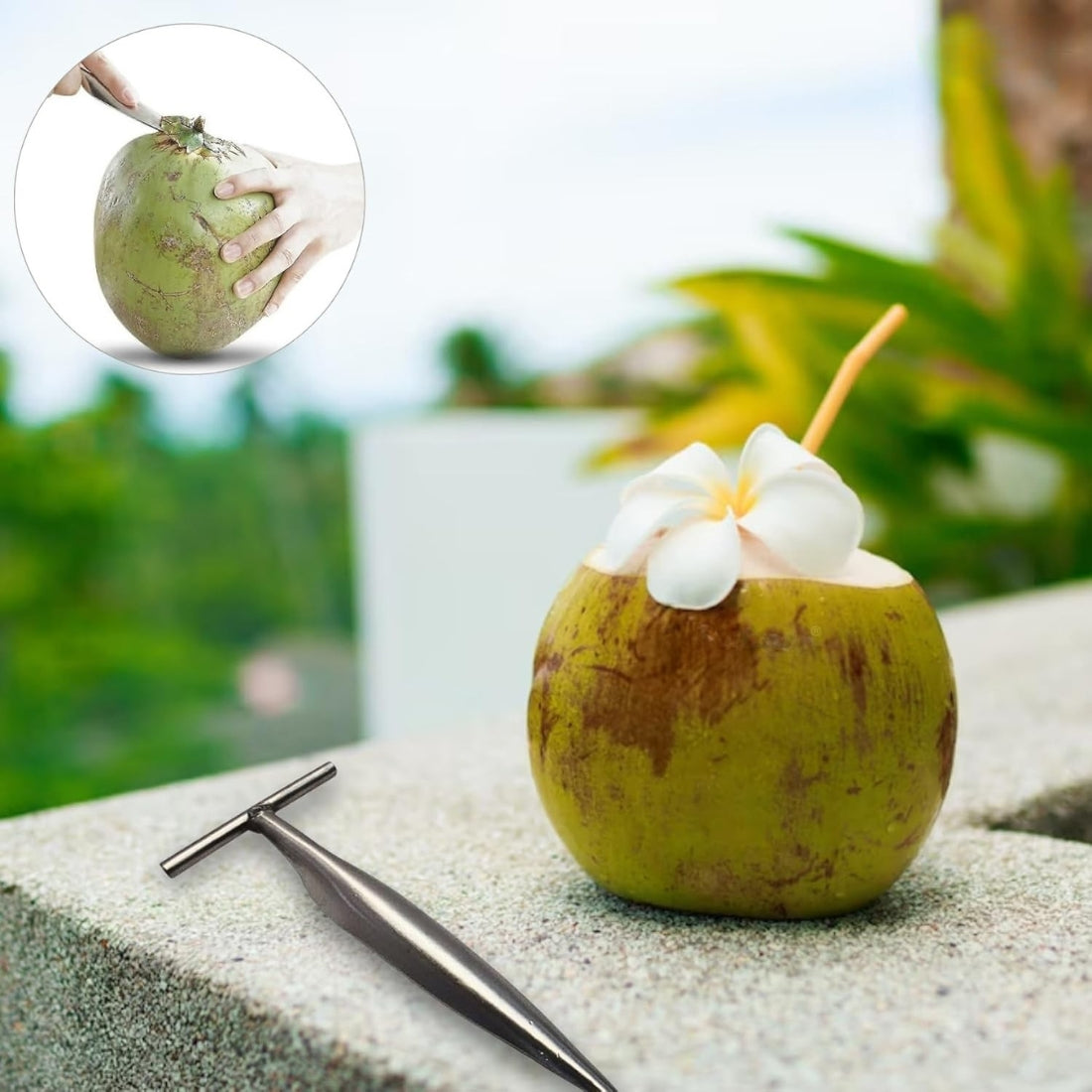Stainless Steel Coconut Opener Tool – Coconut Driller Knife for Easy Coconut Water Opening (Pack of 1)